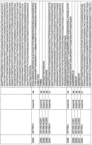 Pscaxcd3, cd19xcd3, c-metxcd3, эндосиалинxcd3, epcamxcd3, igf-1rxcd3 или fap-альфаxcd3 биспецифическое одноцепочечное антитело с межвидовой специфичностью (патент 2547600)