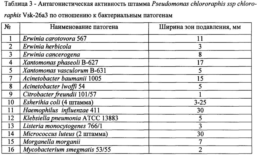 Фосфатрастворяющий штамм pseudomonas chlororaphis ssp chlororaphis vsk-26a3, обладающий фунгицидной и бактерицидной активностью (патент 2603281)