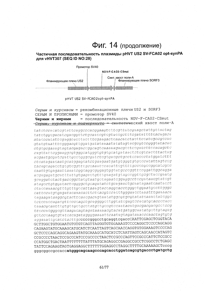 Рекомбинантные векторы hvt, экспрессирующие антигены патогенов птиц и их применение (патент 2620936)