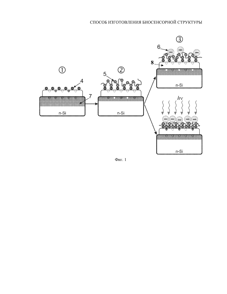 Способ изготовления биосенсорной структуры (патент 2644979)