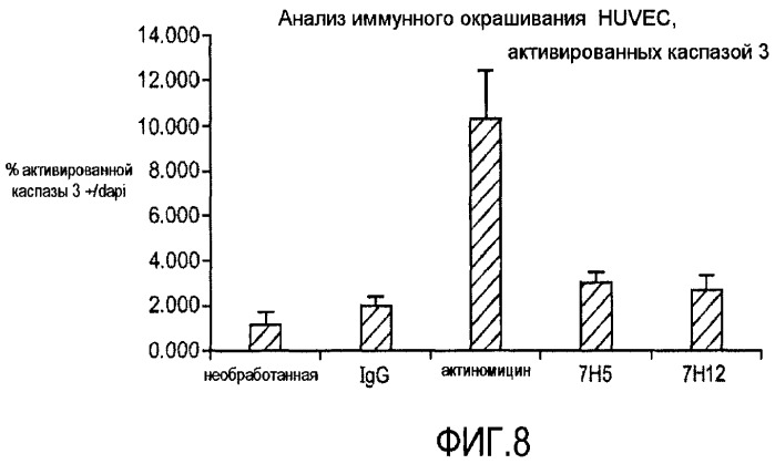 Комбинированная терапия с использованием антагонистов альфа5бета1 (патент 2465282)