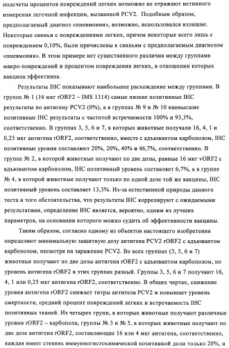 Поливалентные иммуногенные композиции pcv2 и способы получения таких композиций (патент 2488407)