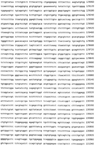 Применение s1p (патент 2362565)