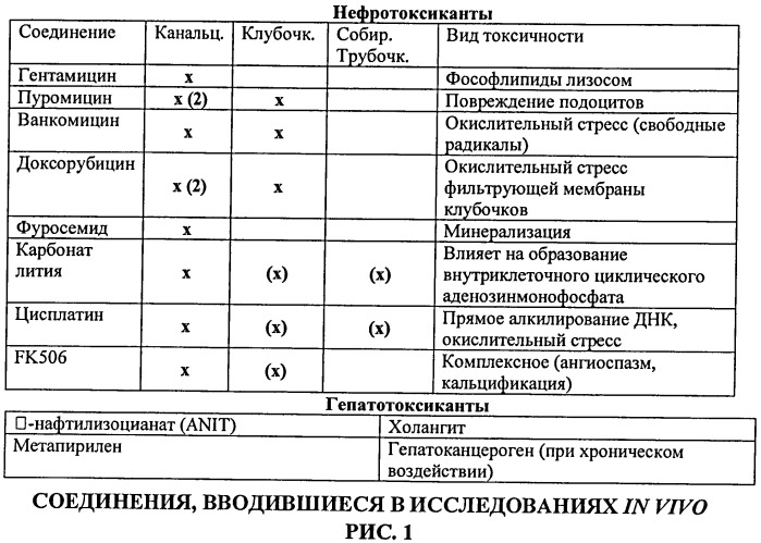 Биомаркеры и биомаркерные признаки почечной сохранности, обладающие предсказательной силой, для использования в мониторинге состояния почек (патент 2519148)