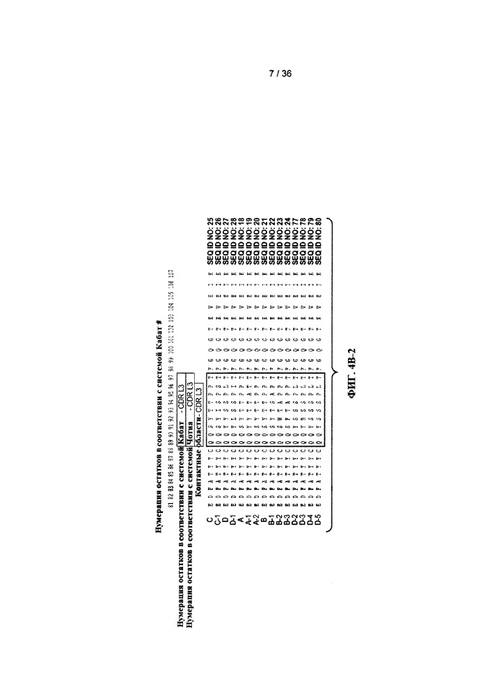 Антитела к jagged и способы их применения (патент 2666990)