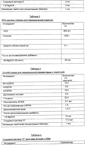 Продуцирование il-21 в прокариотических клетках-хозяевах (патент 2354703)