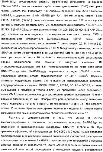 Иммунологические анализы активности ботулинического токсина серотипа а (патент 2491293)