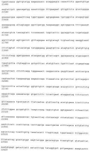 Лечение сиртуин 1 (sirt1)-связанных заболеваний путем ингибирования натурального антисмыслового транскрипта (патент 2551234)
