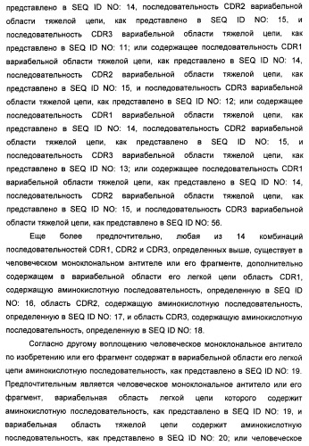 Антитела-нейтрализаторы гранулоцитарно-макрофагального колониестимулирующего фактора человека (патент 2458071)