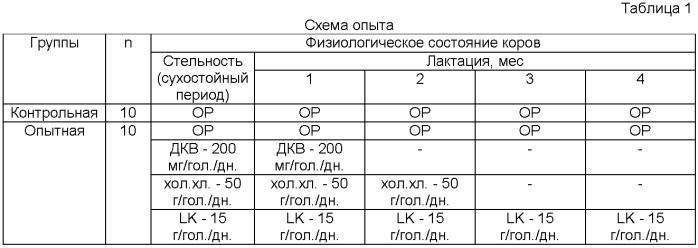 Способ профилактики кетоза у высокопродуктивных молочных коров (патент 2454228)