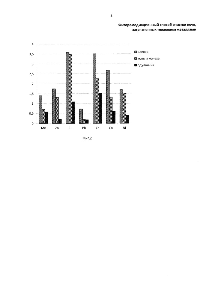 Фиторемедиационный способ очистки почв, загрязненных тяжелыми металлами (патент 2665073)
