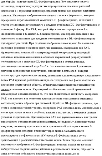Способ избирательного получения растений с мужской или женской стерильностью (патент 2320722)