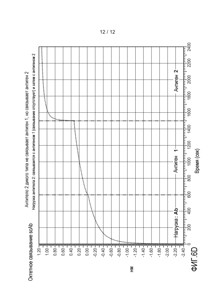 Одноцепочечные антитела и другие гетеромультимеры (патент 2644341)