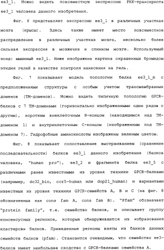 Ее3-семейство белков и соответствующие днк-последовательности (патент 2333918)