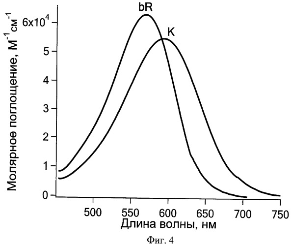 Способ фотопереключения ретинальсодержащего белка и оптический логический элемент на его основе (патент 2420773)