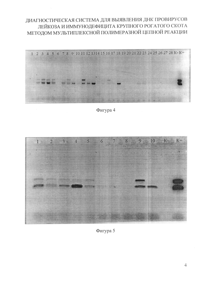 Диагностическая система для выявления днк провирусов лейкоза и иммунодефицита крупного рогатого скота методом мультиплексной полимеразной цепной реакции (патент 2615465)