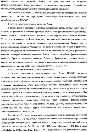 Белки, связывающие антиген фактор роста, подобный гепаринсвязывающему эпидермальному фактору роста (патент 2504551)