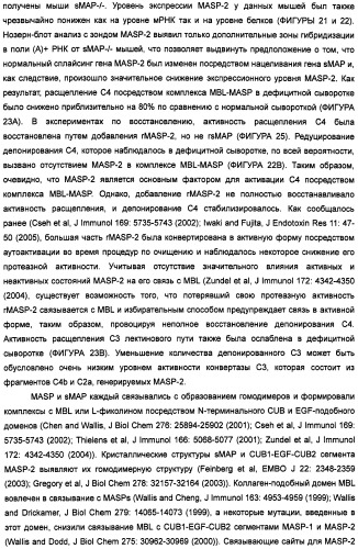 Способ лечения заболеваний, связанных с masp-2-зависимой активацией комплемента (варианты) (патент 2484097)