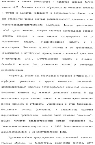 Гены corynebacterium glutamicum, кодирующие белки метаболических путей (патент 2306339)