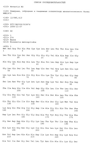 Химерные, гибридные и тандемные полипептиды менингококкового белка nmb1870 (патент 2431671)