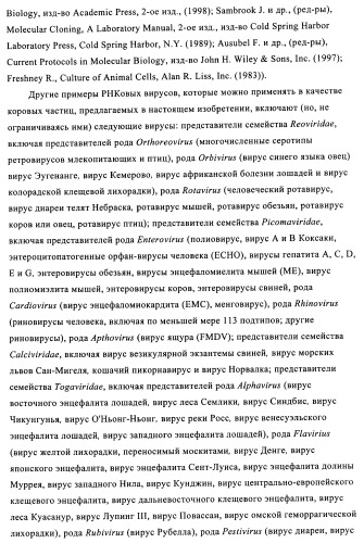 Композиции вакцин, содержащие наборы антигенов в виде амилоида бета 1-6 (патент 2450827)