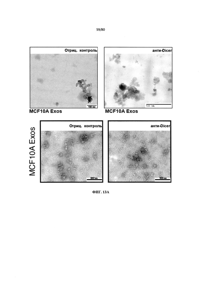 Использование биогенеза микрорнк в экзосомах для диагностики и лечения (патент 2644247)