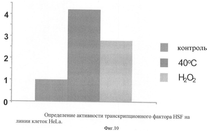 Лентивирусная репортерная векторная система для измерения активности ключевых транскрипционных факторов, отражающих функциональное состояние сигнальных путей клетки (патент 2420584)