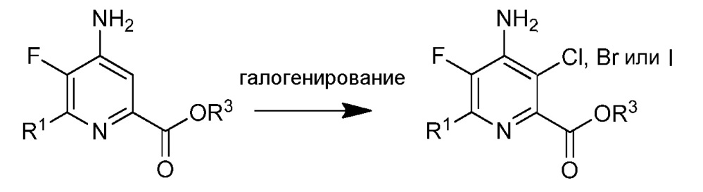 Способы получения 4-амино-3-галоген-6(замещенных)пиколинатов и 4-амино-5-фтор-3-галоген-6-(замещенных)пиколинатов (патент 2658825)