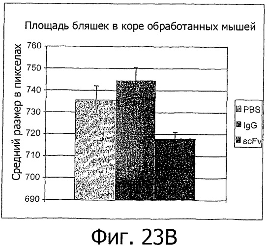 Гуманизированные антитела к  -амилоидному пептиду (патент 2475500)