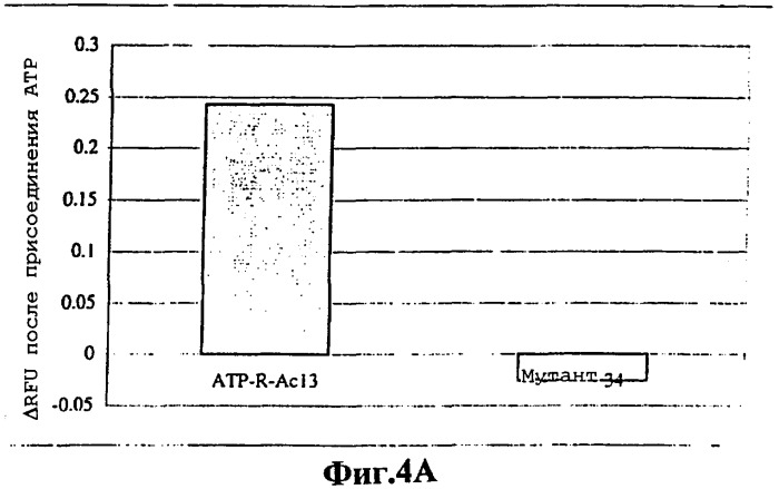 Передающие сигнал аптамеры, которые преобразуют сигнал распознавания молекулы в дифференциальный сигнал (патент 2316599)