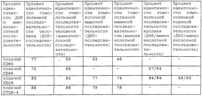 Рекомбинантный вирус, экспрессирующий чужеродную днк, кодирующую кошачий cd80, кошачий ctla-4 или кошачий cd86, и его использование (патент 2244006)
