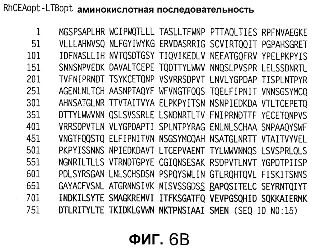 Слитые белки карциноэмбрионального антигена (патент 2380375)