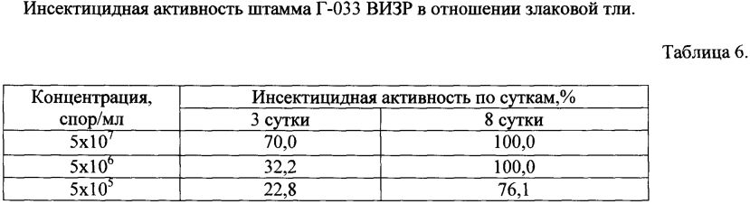 Штамм гриба lecanicillium muscarium, обладающий инсектоакарицидной и антибиотической активностью для борьбы против сосущих вредителей, грибных и бактериальных болезней (патент 2598251)