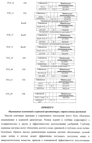Изолированные полипептиды, кодирующие их полинуклеотиды, экспрессирующие их трансгенные растения и способы их использования (патент 2425151)