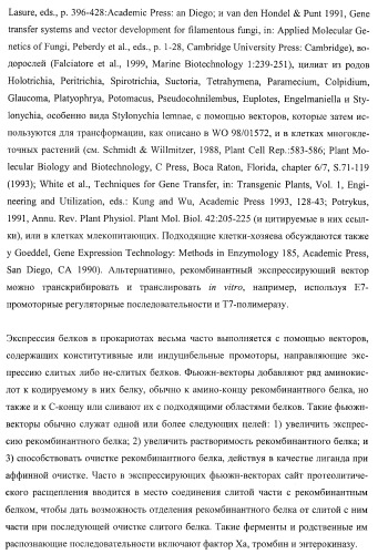 Молекулы нуклеиновых кислот, кодирующие wrinkled1-подобные полипептиды, и способы их применения в растениях (патент 2385347)