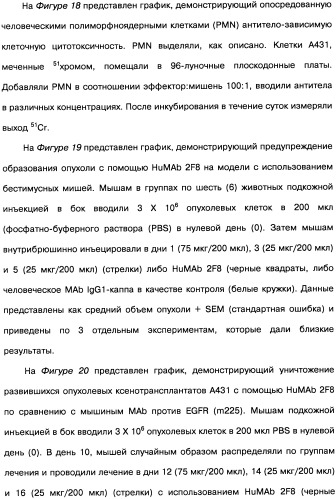 Человеческие моноклональные антитела к рецептору эпидермального фактора роста (egfr), способ их получения и их использование, гибридома, трансфектома, трансгенное животное, экспрессионный вектор (патент 2335507)