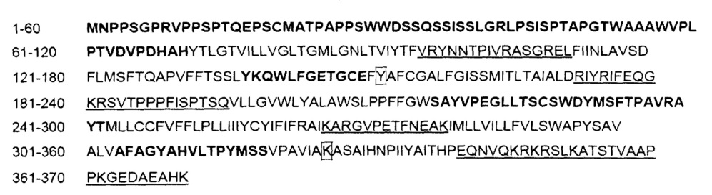 Светочувствительный химерный белок gpcr (патент 2637367)