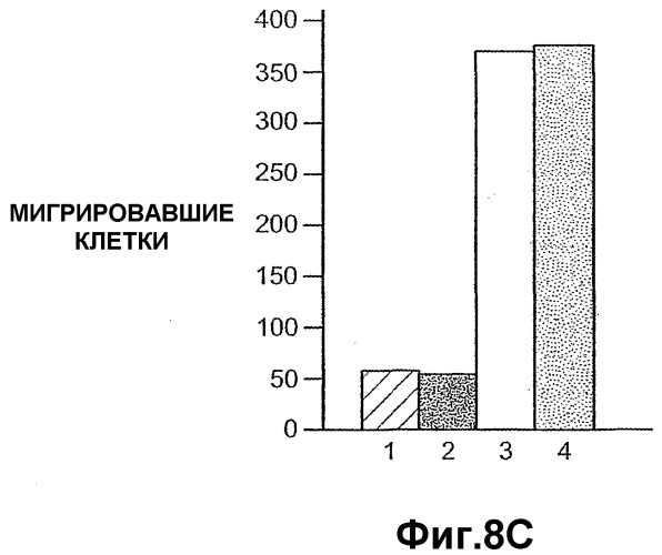 Способ ингибирования пролиферации гепатоцитов, способ ингибирования клеточной адгезии гепатоцитов и способ ингибирования биологической активности angptl4 в гепатоцитах или предшественниках гепатоцитов (патент 2380411)