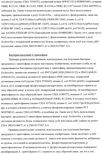 Способ получения l-аминокислот с использованием бактерии, принадлежащей к роду escherichia, в которой инактивирован один или несколько генов, кодирующих малые рнк (патент 2395567)