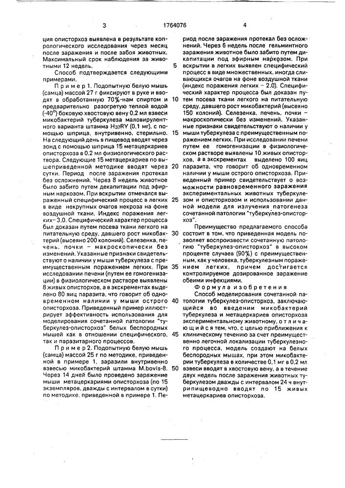 Способ моделирования сочетаний патологии турбекулез- описторхоз (патент 1764076)