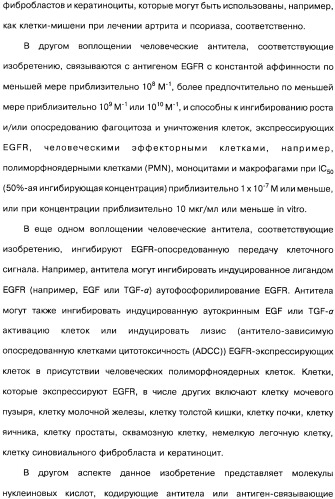 Человеческие моноклональные антитела к рецептору эпидермального фактора роста (egfr), способ их получения и их использование, гибридома, трансфектома, трансгенное животное, экспрессионный вектор (патент 2335507)