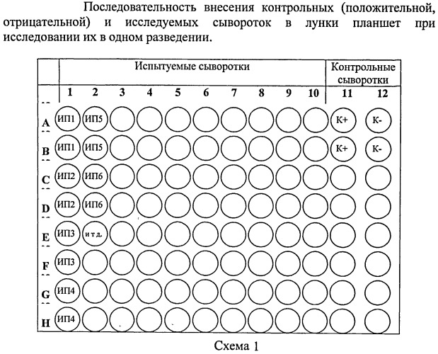 Иммуноферментная тест-система для серологической диагностики реовирусной инфекции крупного рогатого скота и контроля напряженности поствакцинального иммунитета (патент 2488117)