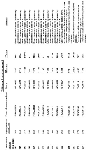 Гены corynebacterium glutamicum, кодирующие белки резистентности и толерантности к стрессам (патент 2303635)