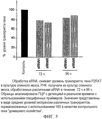 Способы и композиции для ингибирования экспрессии рецептора p2х7 (патент 2410430)