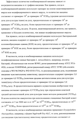 Иммуногенные композиции, содержащие lawsonia intracellularis (патент 2443430)