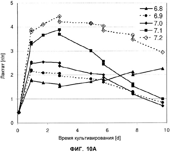 Применение низкой температуры и/или низкого pн в культуре клеток (патент 2478702)