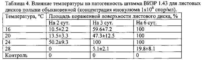 Штамм гриба phoma ligulicola var.inoxydabilis boerema, обладающий микогербицидной активностью против полыни обыкновенной (патент 2588470)