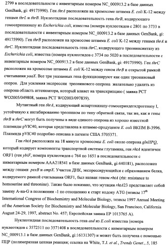 Способ получения l-треонина с использованием бактерии, принадлежащей к роду escherichia, модифицированной таким образом, что в ней нарушена способность к образованию ворсинок типа &quot;керли&quot; (патент 2338782)