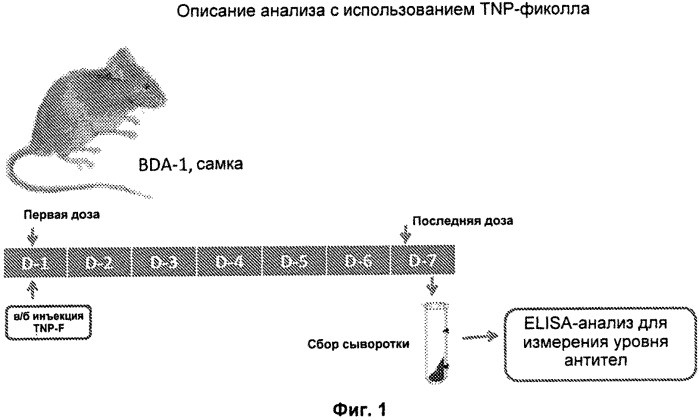 Некоторые химические структуры, композиции и способы (патент 2537549)