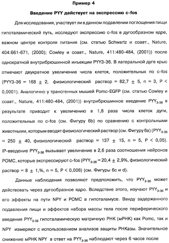 Способ модификации пищевого поведения и применение pyy или его агониста в качестве средства для модификации пищевого поведения (патент 2317104)